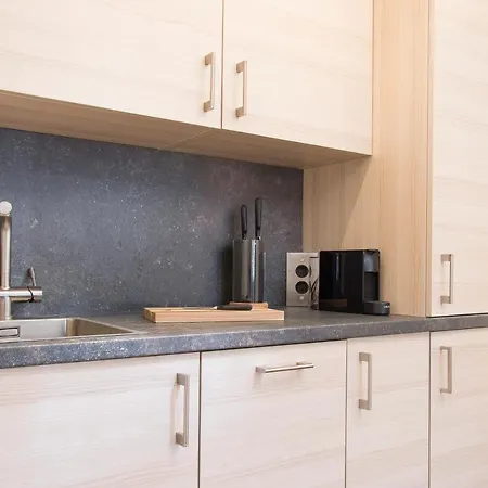 Kaiser - Centre Of Apartman Graz